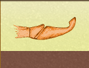 )(