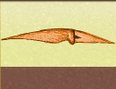 )(